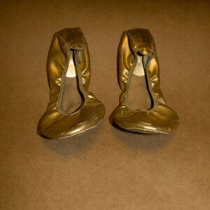Dance Shoe